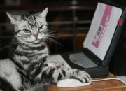 开云APP-骑士收割76人，西亚卡姆完成里程碑，一场定义赛季的战役