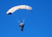 开云体育入口-戈贝尔的统治力，当灰熊的利爪遇上森林狼的火焰